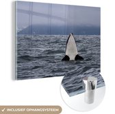MuchoWow® Glasschilderij 90x60 cm - Schilderij acrylglas - Orka boven water - Foto op glas - Schilderijen