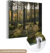MuchoWow® Glasschilderij 50x50 cm - Schilderij acrylglas - Bos - Zomer - Zon - Foto op glas - Schilderijen