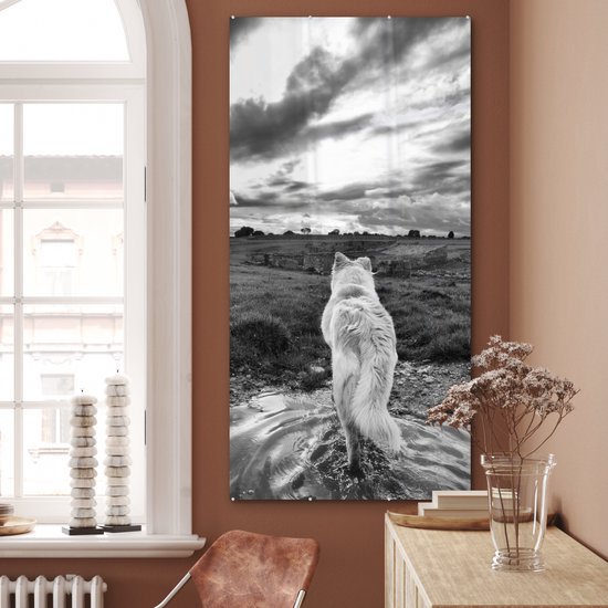 MuchoWow® Glasschilderij 80x160 cm - Schilderij acrylglas - Wolf uitkijkend over landschap in zwart-wit - Foto op glas - Schilderijen