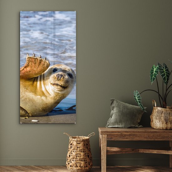 MuchoWow® Peinture sur Verre - Sceau - Drôle - Ondulation - 60x120 cm - Peintures sur Verre Peintures - Photo sur Glas