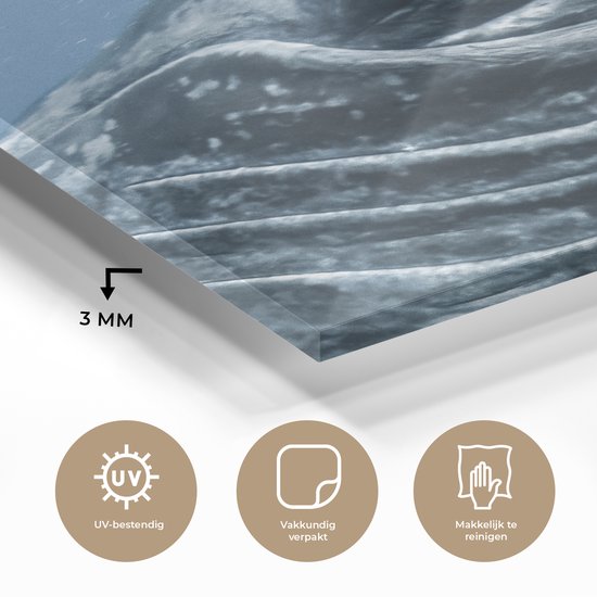 MuchoWow® Glasschilderij 50x50 cm - Schilderij acrylglas - Water - Dieren - Bultrug - Foto op glas - Schilderijen