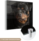 MuchoWow® Peinture sur Verre - Portrait de Chien Rottweiler en Studio - 90x90 cm - Peintures sur Verre Peintures - Photo sur Glas