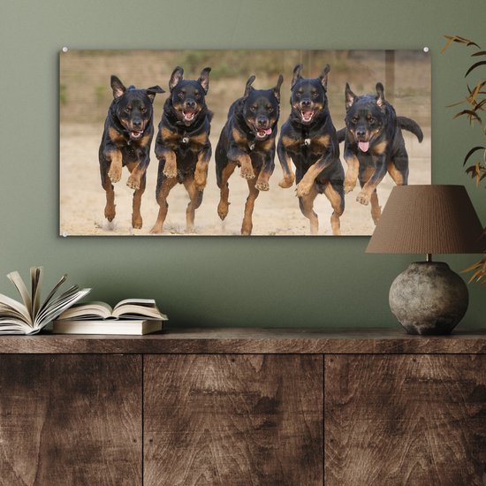 Peinture sur Verre - Rottweilers courant dans une rangée - 80x40 cm - Peintures sur Verre Peintures - Photo sur Glas