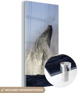 MuchoWow® Glasschilderij 80x160 cm - Schilderij acrylglas - Walvis - Water - Zuid-Afrika - Foto op glas - Schilderijen