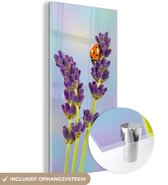 MuchoWow® Glasschilderij 40x80 cm - Schilderij acrylglas - Lieveheersbeestje op lavendelbloem - Foto op glas - Schilderijen