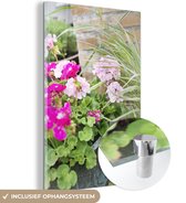 Géraniums roses dans un pot en plexiglas 80x120 cm - Tirage photo sur Glas (décoration murale en plexiglas)