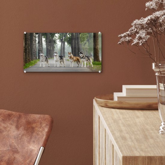 MuchoWow® Peinture sur verre 40x20 cm - Peinture sur verre acrylique - Quatre huskies parmi les arbres - Photo sur verre - Peintures