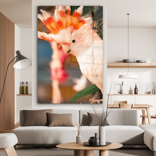 MuchoWow® Peinture sur verre 100x150 cm - Peinture sur verre acrylique - Un cacatoès blanc avec une crête colorée - Photo sur verre - Peintures