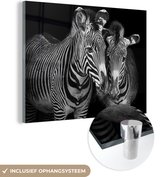 MuchoWow® Glasschilderij 120x90 cm - Schilderij acrylglas - zebra met haar jong op zwarte achtergrond - Foto op glas - Schilderijen
