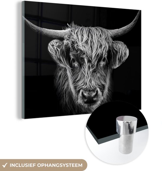 MuchoWow® Peinture sur verre 160x120 cm - Peinture sur verre acrylique - Highlander écossais - Zwart - Vache - Animaux - Photo sur verre - Peintures