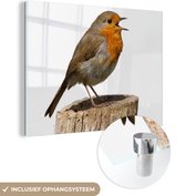 MuchoWow® Glasschilderij 120x90 cm - Schilderij acrylglas - Roodborstje - Vogel - Hout - Foto op glas - Schilderijen