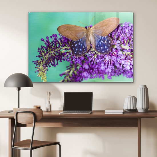 Papillon exotique sur le buisson de papillons Plexiglas 90x60 cm - Tirage photo sur Glas (décoration murale en plexiglas)