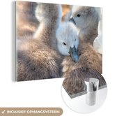 MuchoWow® Peinture sur verre - Cygnes - Lumière - Poussin - 150x100 cm - Peintures sur verre acrylique - Photo sur Glas