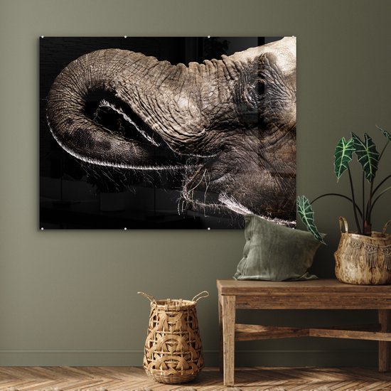 MuchoWow® Peinture sur verre 120x90 cm - Peinture sur verre acrylique - Éléphant - Animaux - Zwart - Nature - Photo sur verre - Peintures