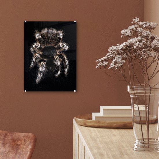 MuchoWow® Peinture sur verre 30x40 cm - Peinture acrylique sur verre - Une tarentule - Photo sur verre - Peintures