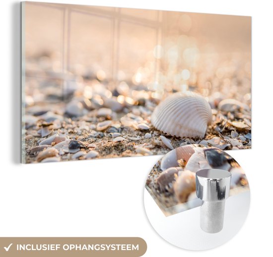 Glasschilderij - Wanddecoratie - Schelpen - Strand - Zon - Acrylplaat - Glasschilderij natuur - Foto op glas - Glasschilderij strand - Acrylglas - 120x60 cm - Schilderijen woonkamer - Muurdecoratie