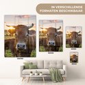 Product afbeelding  8