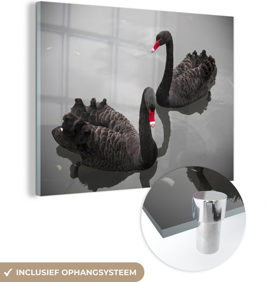 MuchoWow® Glasschilderij 80x60 cm - Schilderij acrylglas - Zwanen - Zwart - Water - Foto op glas - Schilderijen