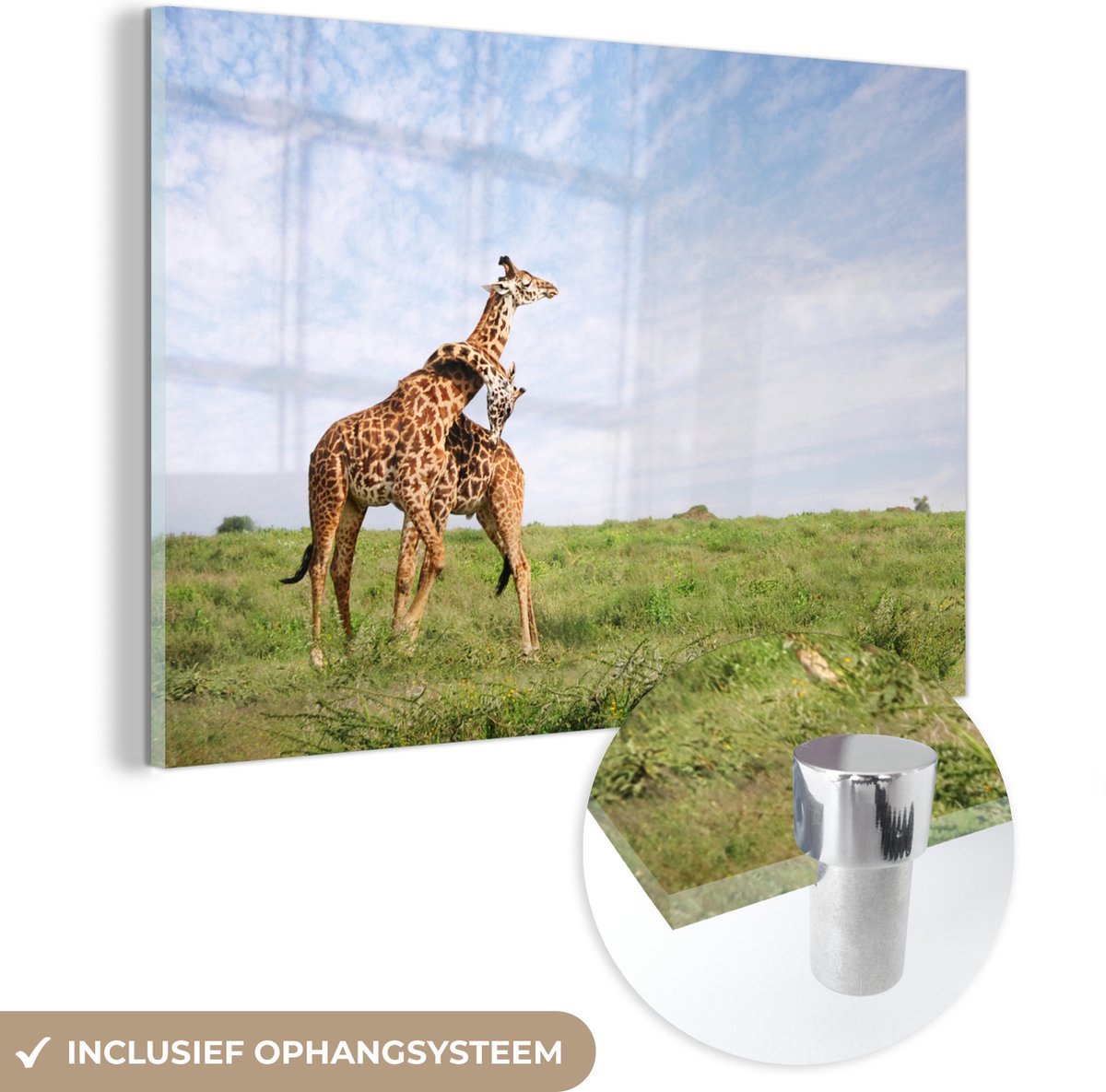 ® Glasschilderij 90x60 cm - Schilderij acrylglas - Twee giraffen zijn aan het knuffelen - Foto op glas - Muurdecoratie woonkamer - Wanddecoratie slaapkamer - Schilderijen