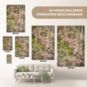 Product afbeelding  9