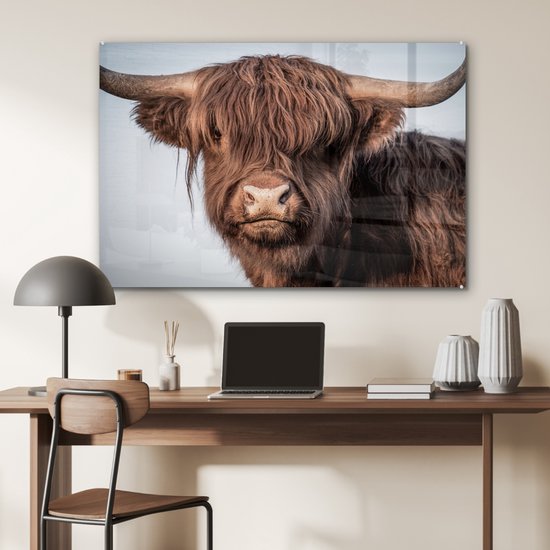 Glasafbeelding van een bruine Schotse hooglander met grote hoorns, hangend boven een bureau.