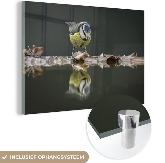 MuchoWow® Glasschilderij 150x100 cm - Schilderij acrylglas - Vogel - Water - Reflectie - Foto op glas - Schilderijen