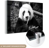 MuchoWow® Glasschilderij 180x120 cm - Schilderij acrylglas - Panda die bamboe eet - zwart wit - Foto op glas - Schilderijen