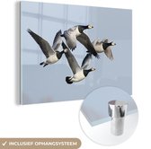 MuchoWow® Glasschilderij 120x80 cm - Schilderij acrylglas - Gans - Vleugels - Dieren - Foto op glas - Schilderijen