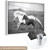 MuchoWow® Glasschilderij 60x40 cm - Schilderij acrylglas - Paarden - Dieren - Gras - Foto op glas - Schilderijen