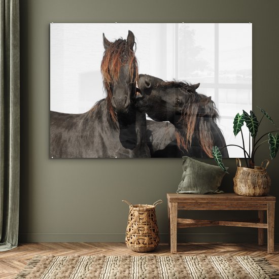 MuchoWow® Peinture sur Verre - Paarden - Fourrure - Wit - 180x120 cm - Peintures sur Verre Acrylique - Photo sur Glas