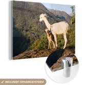 MuchoWow® Glasschilderij 120x80 cm - Schilderij acrylglas - Alpaca's - Berg - Natuur - Foto op glas - Schilderijen