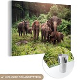 MuchoWow® Glasschilderij 180x120 cm - Schilderij acrylglas - Wilde olifanten - Foto op glas - Schilderijen