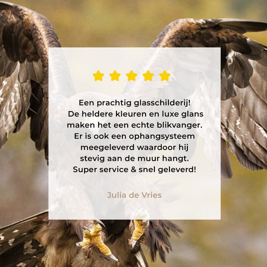 Atterrissage aigle royal aux ailes courbes Plexiglas 160x120 cm - Tirage photo sur Glas (décoration murale plexiglas) XXL / Groot format!