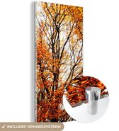 MuchoWow® Glasschilderij 80x160 cm - Schilderij acrylglas - Bos - Herfst - Seizoenen - Foto op glas - Schilderijen