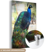 MuchoWow® Glasschilderij 120x180 cm - Schilderij acrylglas - Dieren - Pauw - Veren - Foto op glas - Schilderijen
