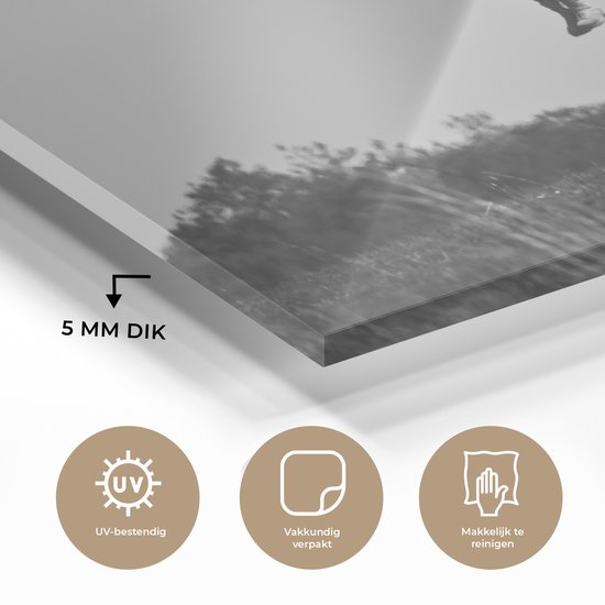 MuchoWow® Peinture sur verre 180x120 cm - Peinture sur verre acrylique - Amérique - Zwart - Wit - Parachute - Photo sur verre - Peintures