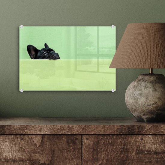 ® Glasschilderij 30x20 cm - Schilderij acrylglas - Franse Bulldog - Groen - Zwart - Foto op glas - Muurdecoratie woonkamer - Wanddecoratie slaapkamer - Schilderijen