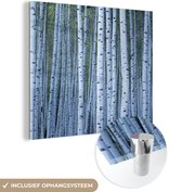 MuchoWow® Glasschilderij 90x90 cm - Schilderij acrylglas - Witte boomstammen - Foto op glas - Schilderijen