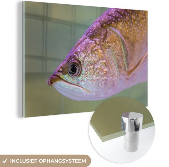 MuchoWow® Peinture sur verre 150x100 cm - Peinture sur verre acrylique - Truite aux couleurs brillantes - Photo sur verre - Peintures