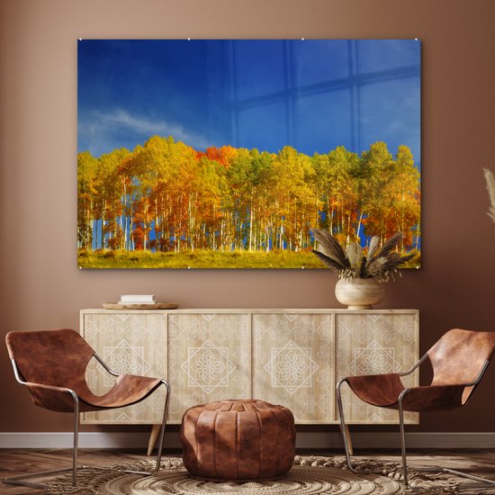 MuchoWow® Peinture sur verre 180x120 cm - Peinture sur verre - Peupliers colorés en automne - Photo sur verre acrylique - Peintures