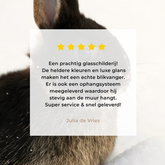 MuchoWow® Peinture sur verre 150x100 cm - Peinture sur verre acrylique - Lapin - Neige - Hiver - Photo sur verre - Peintures