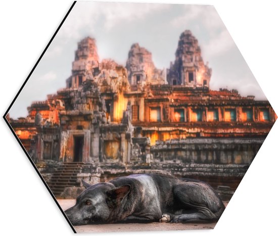 Dibond Hexagon - Hond Liggend voor Angkor Wat Tempel, Cambodja - 40x34.8 cm Foto op Hexagon (Met Ophangsysteem)