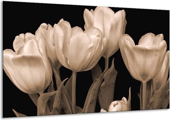 Glasschilderij Tulpen Sepia, Bruin - 120x70cm 1Luik - Foto Op Glas - Geen Acrylglas... |