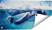 Gards Tuinposter Pingu�n Zwemt in het Water - 60x30 cm - Tuindoek - Tuindecoratie - Wanddecoratie buiten - Tuinschilderij