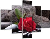 Peinture sur verre rose | rouge noir | 100x70cm 5Liège | Tirage photo sur verre |  F006147