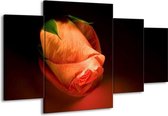 GroepArt - Schilderij -  Roos - Oranje, Zwart, Groen - 160x90cm 4Luik - Schilderij Op Canvas - Foto Op Canvas