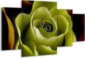 GroepArt - Schilderij -  Roos - Groen, Wit, Zwart - 160x90cm 4Luik - Schilderij Op Canvas - Foto Op Canvas