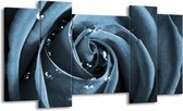 GroepArt - Schilderij - Roos - Blauw, Grijs - 120x65cm 5Luik - Foto Op Canvas - GroepArt 6000+ Schilderijen 0p Canvas Art Collectie - Wanddecoratie