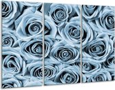 Glasschilderij Bloemen, Roos - Blauw, Grijs - 120x80cm 3Luik - Foto Op Glas - Geen Acrylglas Schilderij - GroepArt 6000+ Glas Art Collectie - Maatwerk Mogelijk
