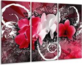 Glasschilderij Orchidee - Roze, Wit, Zwart - 120x80cm 3Luik - Foto Op Glas - Geen Acrylglas Schilderij - GroepArt 6000+ Glas Art Collectie - Maatwerk Mogelijk